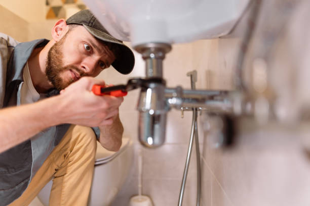 Best Residential Plumbing Services  in Bellview, FL
