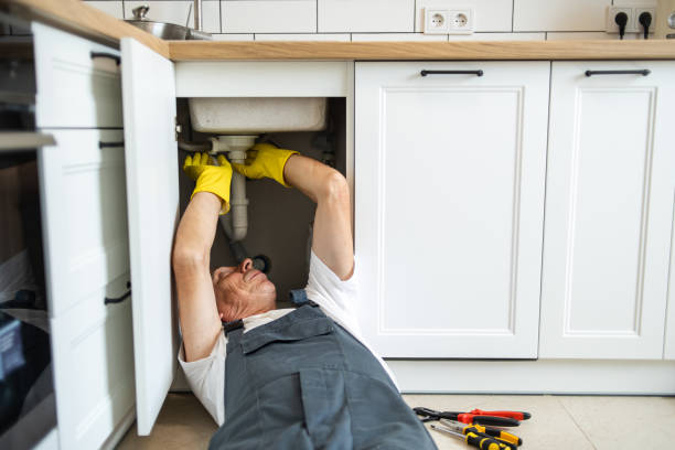 Best Plumbing Inspection Services  in Bellview, FL