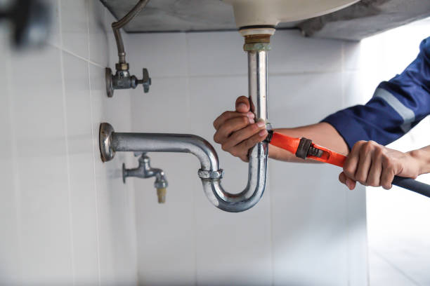 Best Clogged Drain Plumber  in Bellview, FL