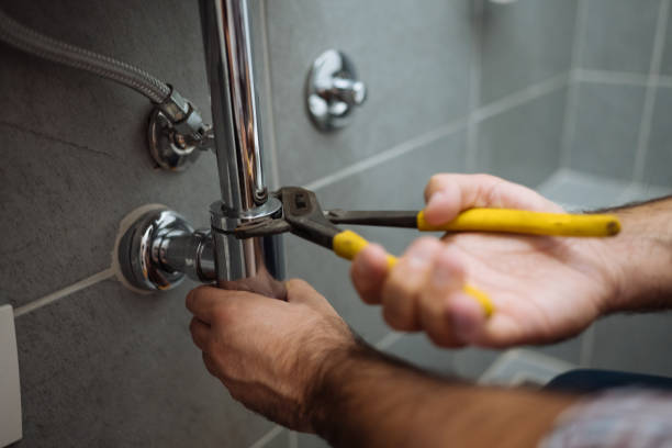 Best Sewer Line Replacement  in Bellview, FL