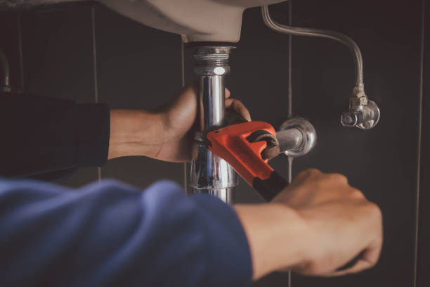 Best Plumbing Services Near Me  in Bellview, FL